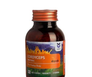 Cordyceps 40gm